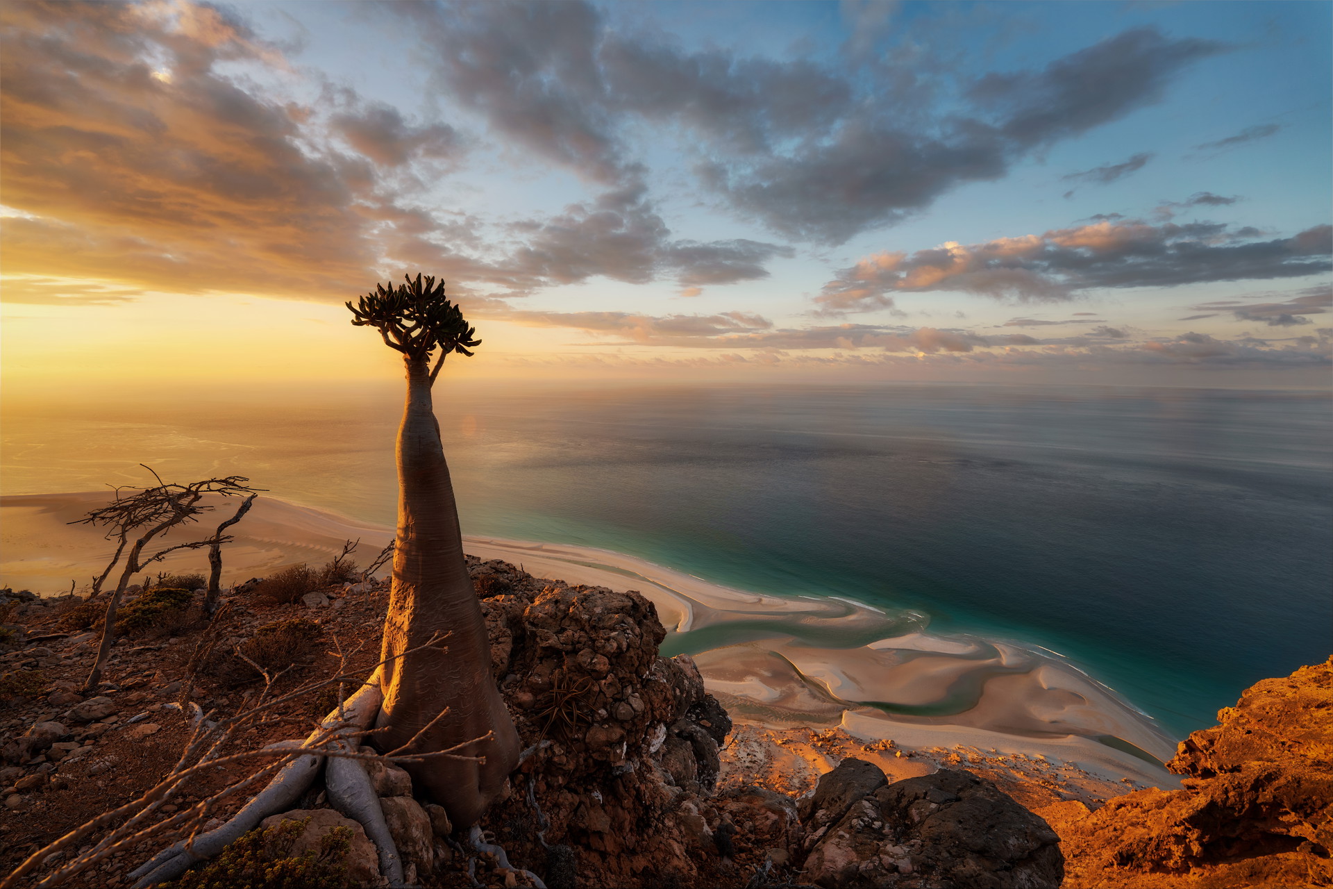 About Socotra Golden Land Destination And Travel